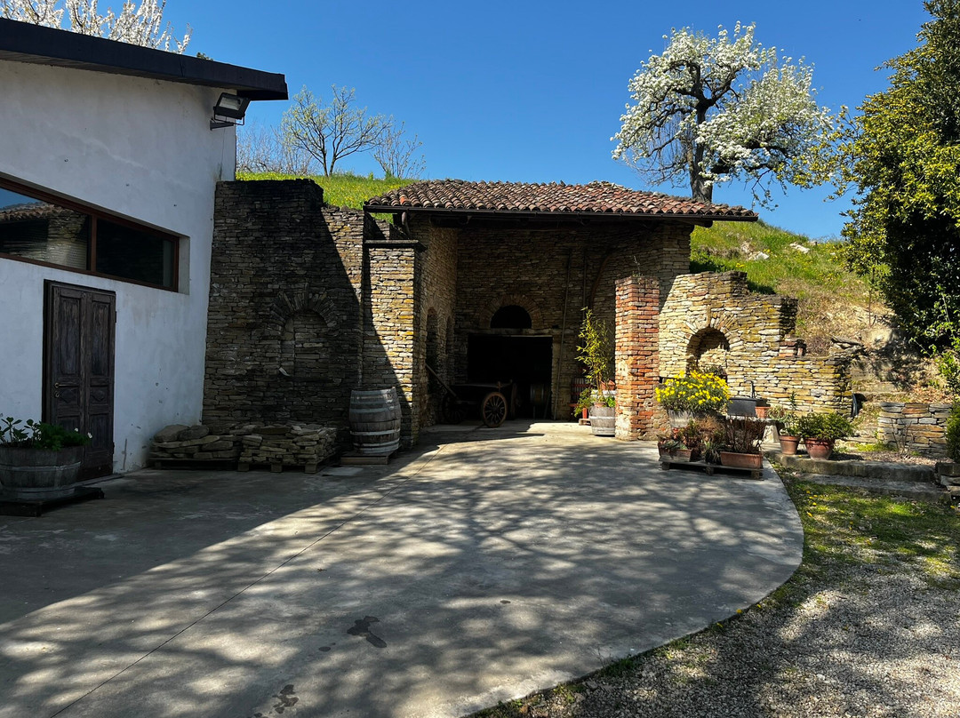 Il Bosseto Winery