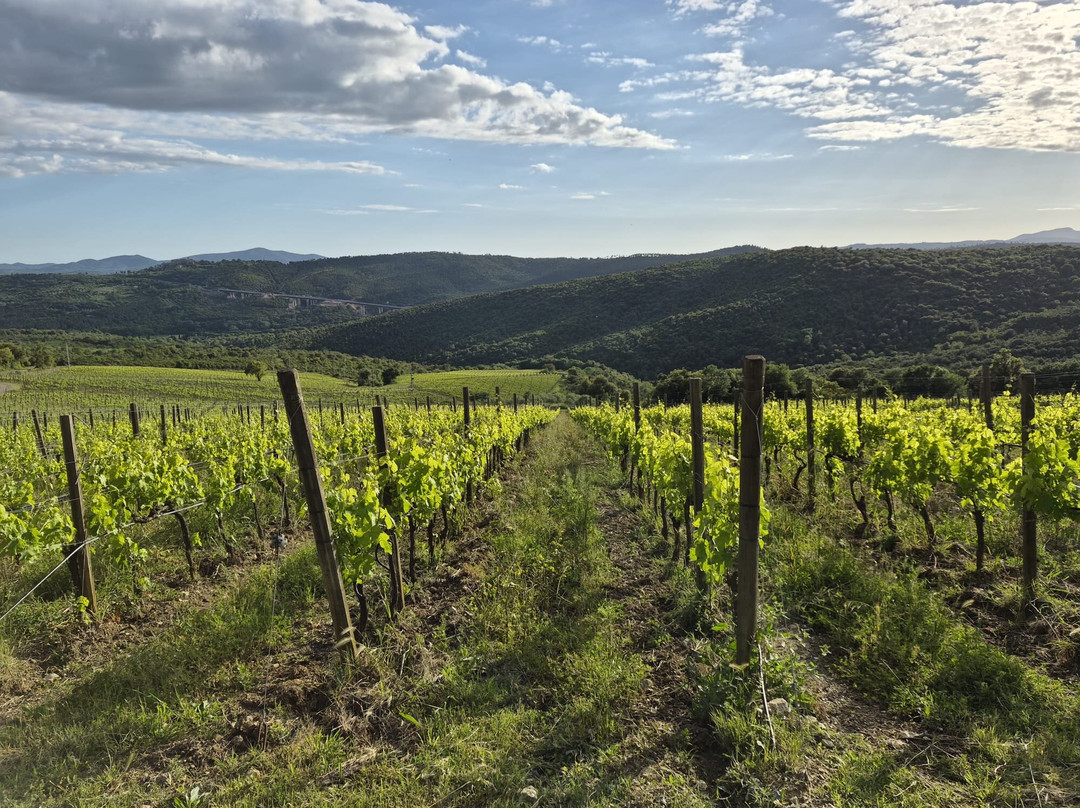 Tenuta L'Impostino-Civitella Paganico必去景点