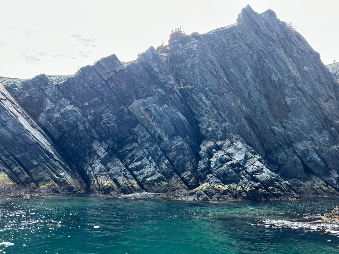 Old Salty Dog Excursions-Bay Roberts必去景点