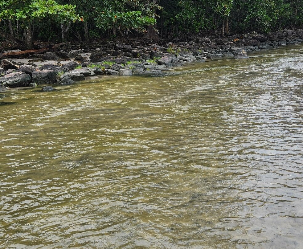 Camburi Beach-圣塞巴斯蒂昂必去景点