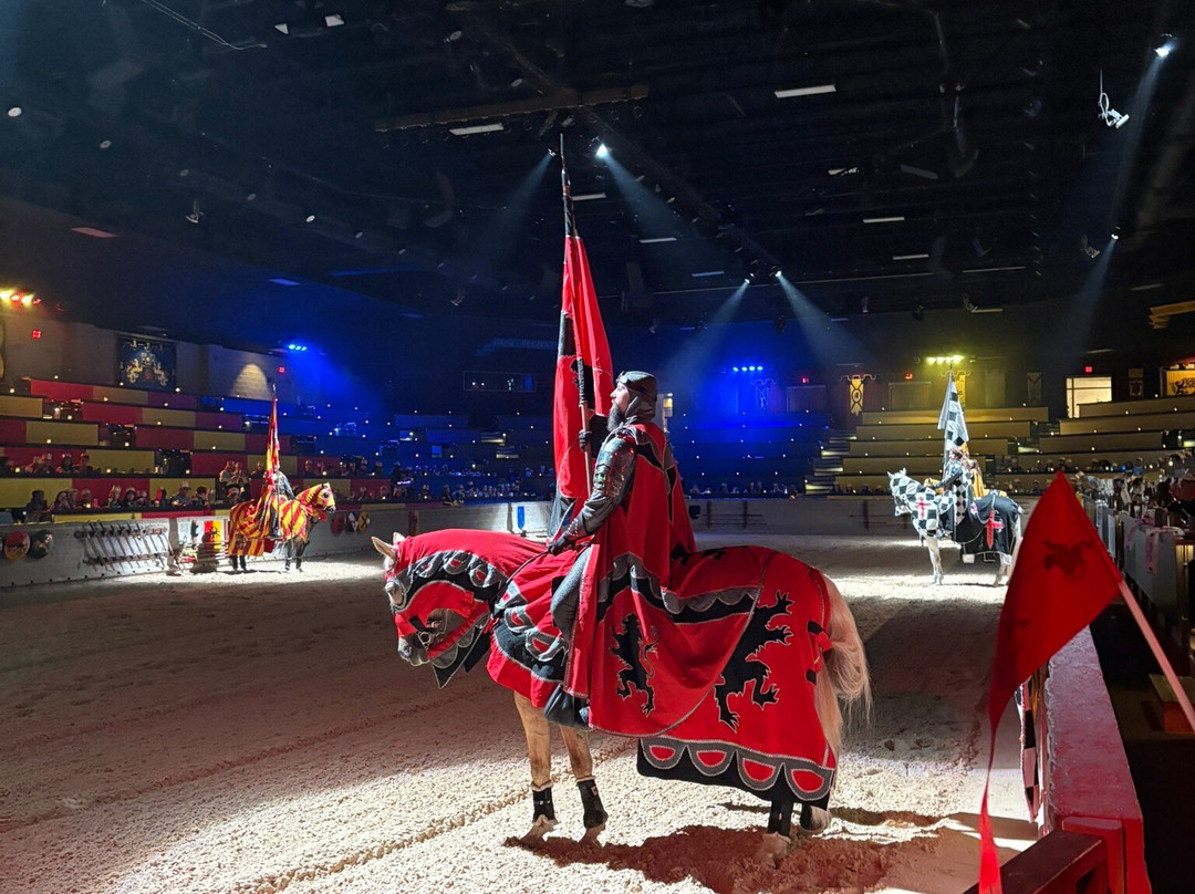 Medieval Times-绍姆堡必去景点