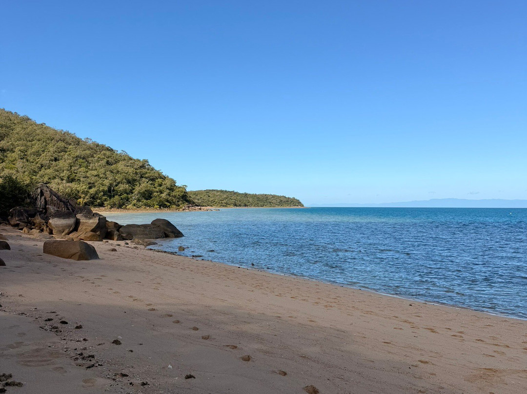 SeaLink Queensland - Magnetic Island Ferry Services-汤斯维尔必去景点