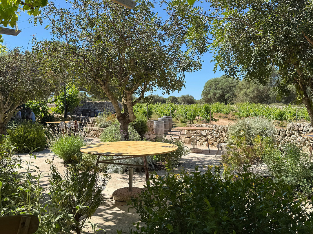 Bodegas Binifadet-Sant Lluis必去景点