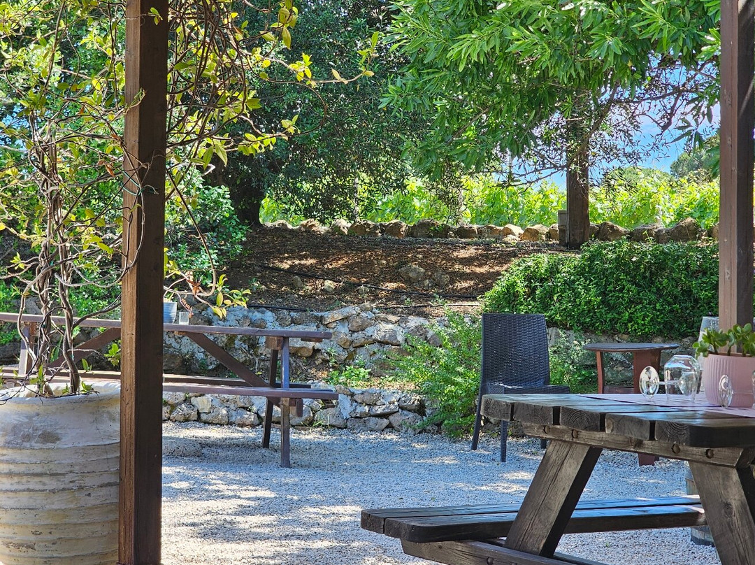 Gentilini Winery & Vineyards-Minia必去景点