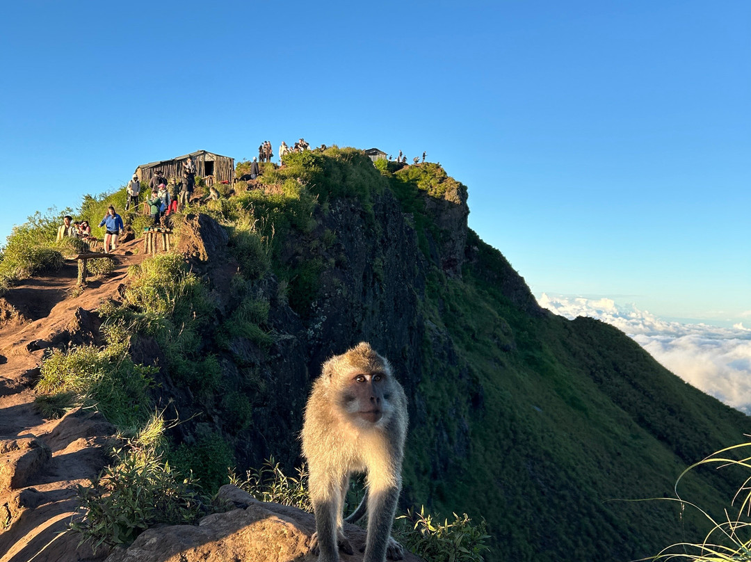 Batur Sunrise Experience-Central Batur必去景点