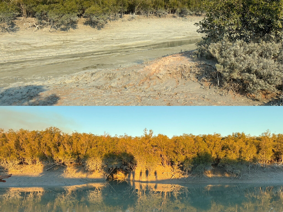 Broome Bird Observatory-布鲁姆必去景点
