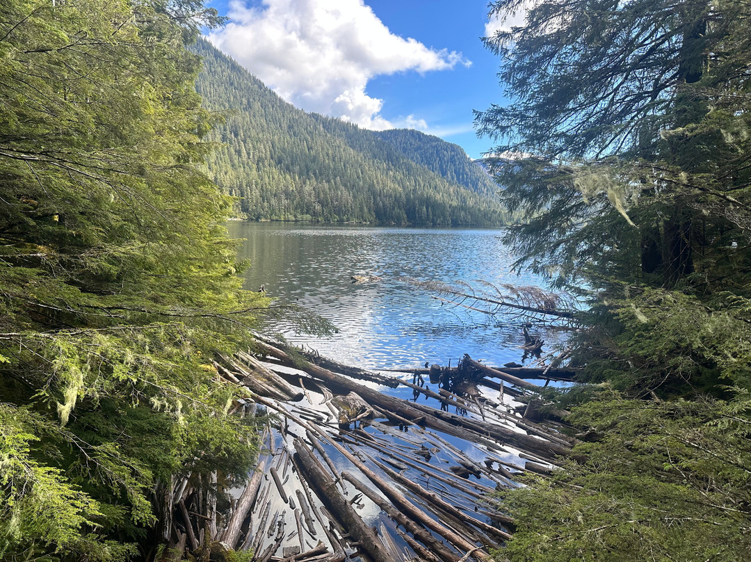Tongass National Forest-凯奇坎必去景点
