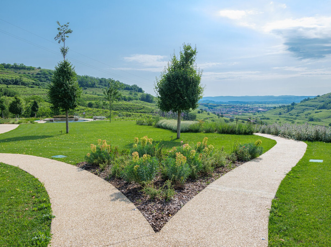 Azienda Agricola Ca'Rugate-Montecchia di Crosara必去景点