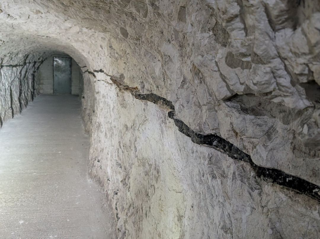 Fan Bay Deep Shelter and Gun Emplacement-多佛必去景点