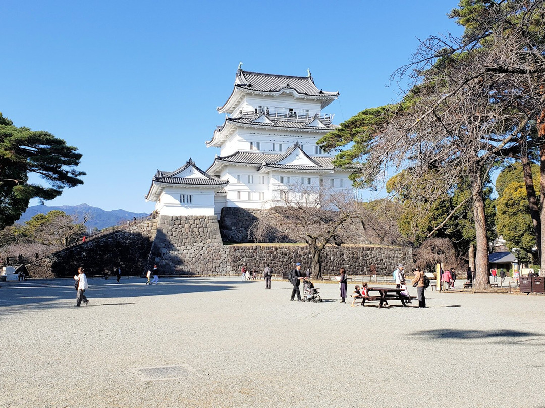 Odawara Wanpaku Land-小田原市必去景点