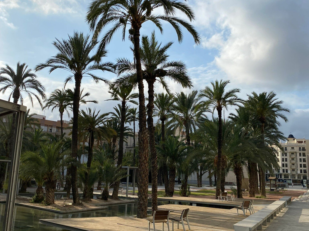 Palmeral of Elche-埃尔切必去景点