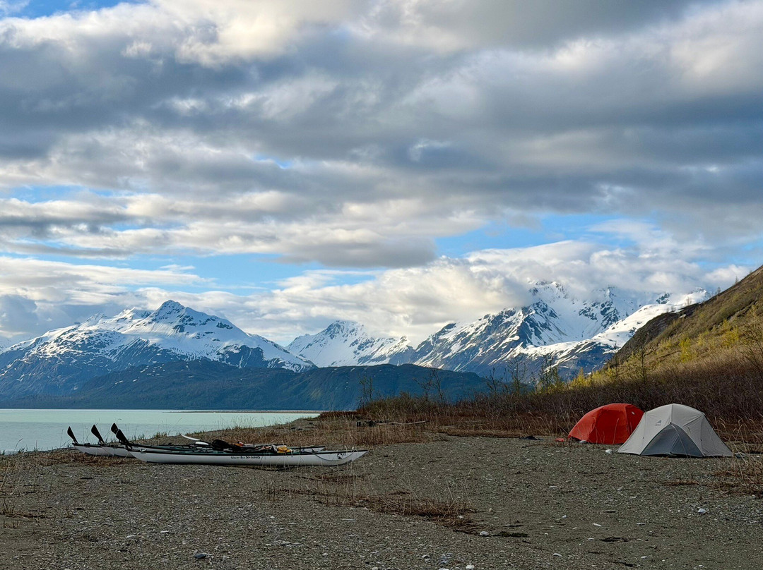 Glacier Bay Sea Kayaks-古斯塔夫斯必去景点