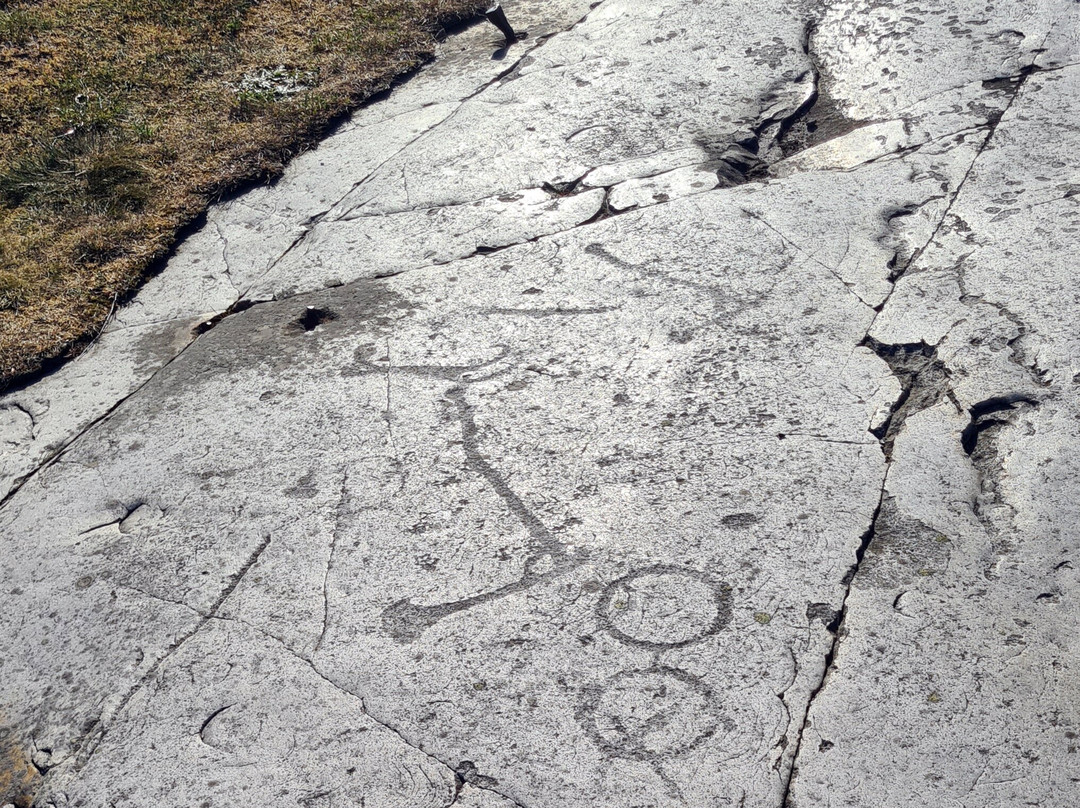 Horsahallen's Rock Carving Area-Simrishamn必去景点