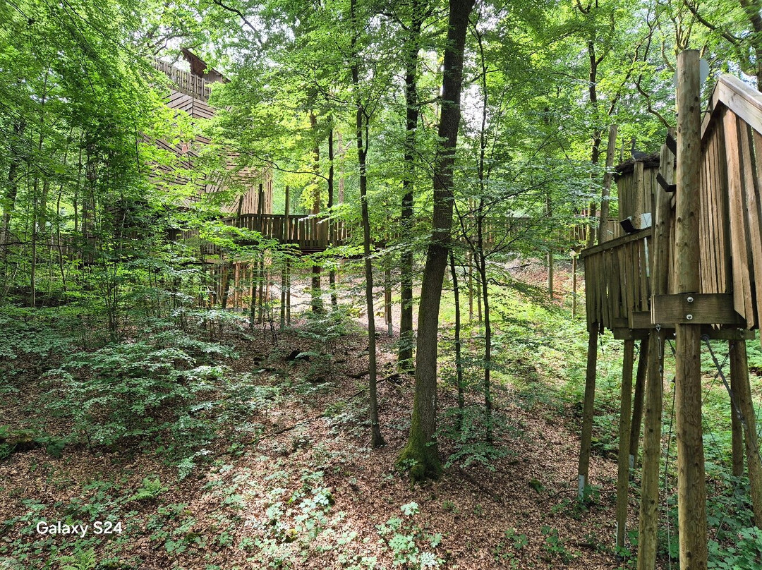 Parc Forestier Récréatif Chlorophylle-Manhay必去景点