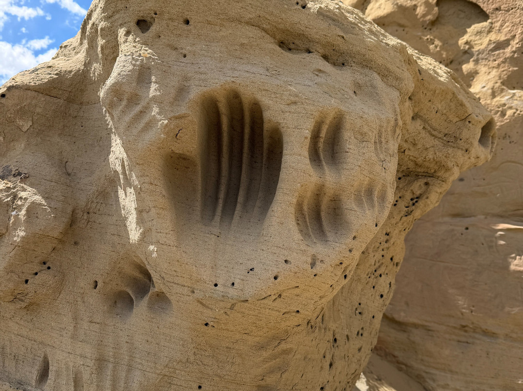 White Mountain Petroglyphs-Rock Springs必去景点