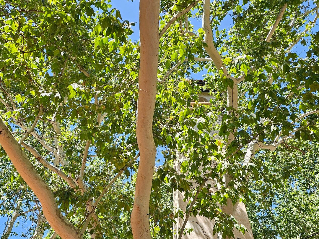 Tlaquepaque Arts & Shopping Village-塞多纳必去景点