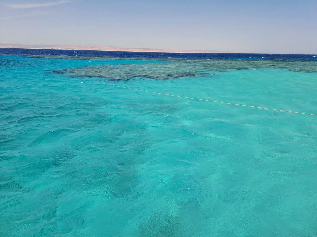 Wadi El Gemal National Park-马萨阿拉姆必去景点