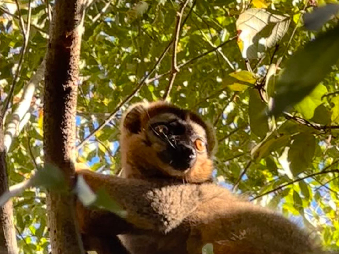 Madagascar Tropic Voyage-安齐拉贝必去景点