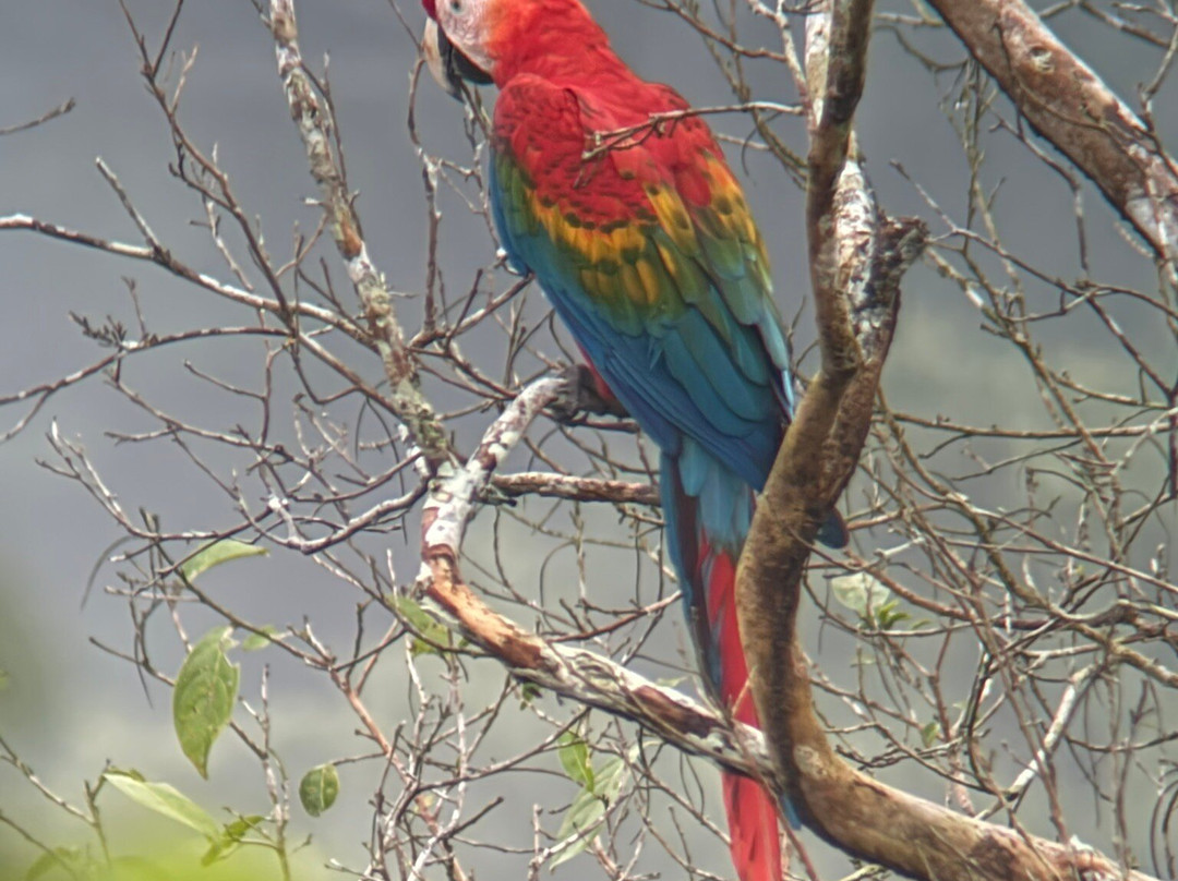 Napo Wildlife Center Ecolodge主图