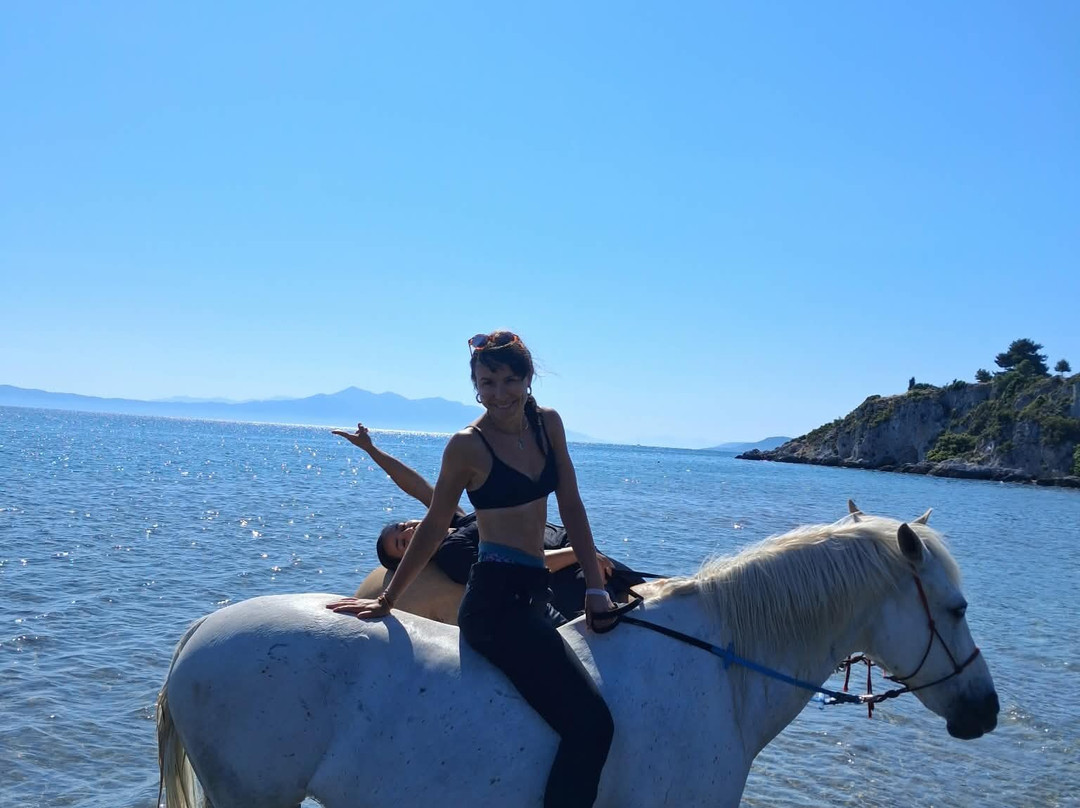 Darko World | Horse Riding Greece - Sea & Farm Experience-Livanates必去景点
