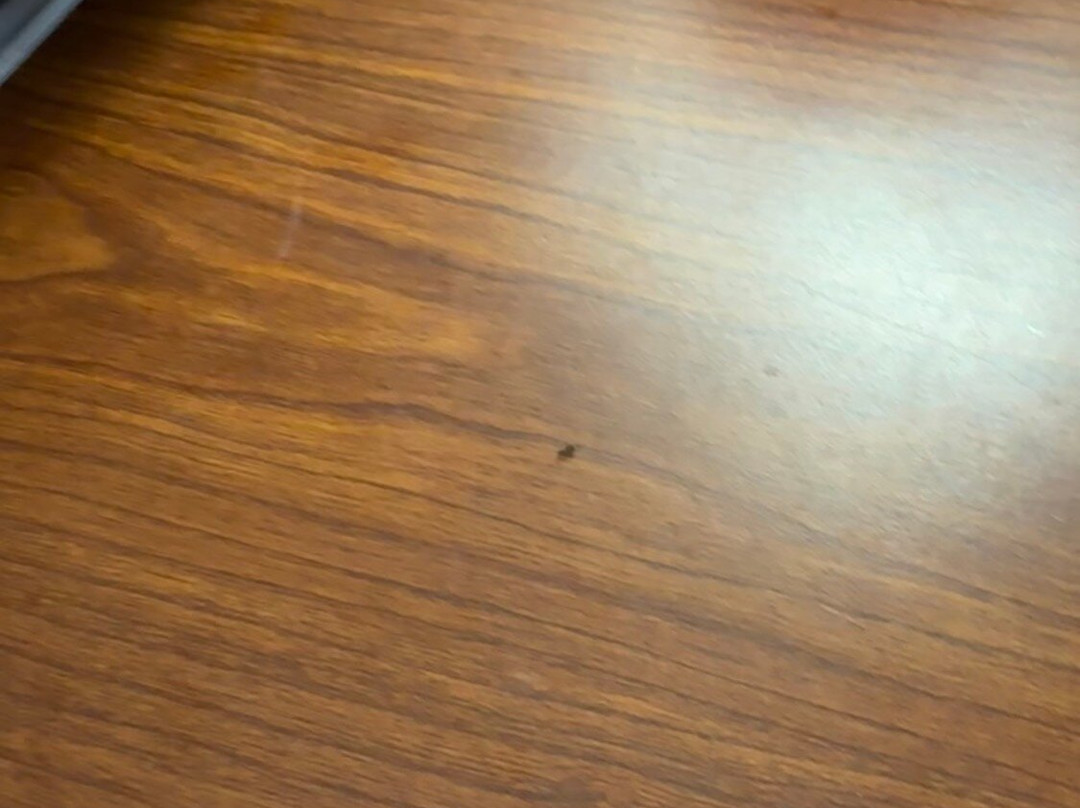 拉普拉塔贝斯特韦斯特优质酒店主图