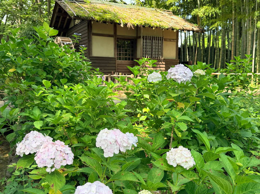 Kyodo No Mori Museum-府中市必去景点