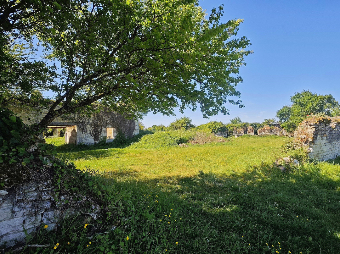 Château de Montfaucon-Jaunay-Marigny必去景点