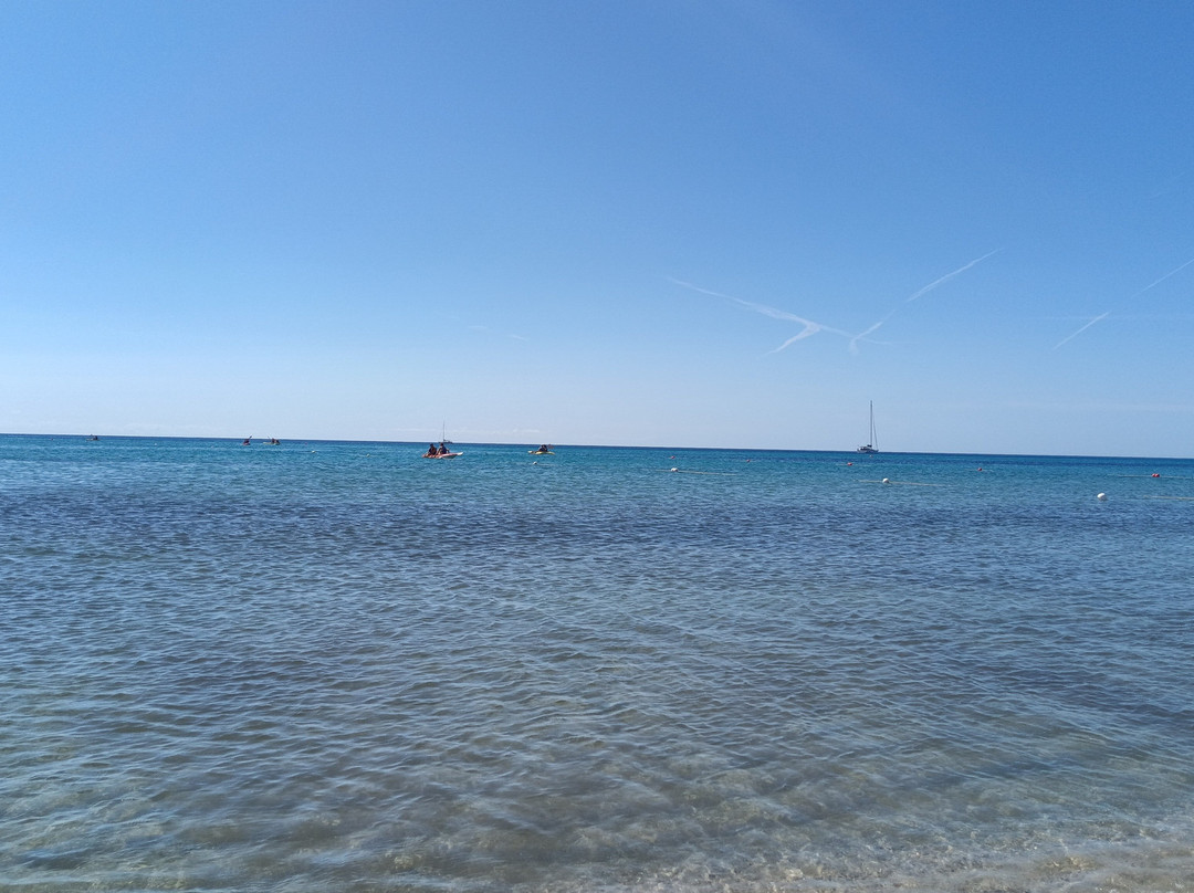 Marina Rey Beach Resort主图