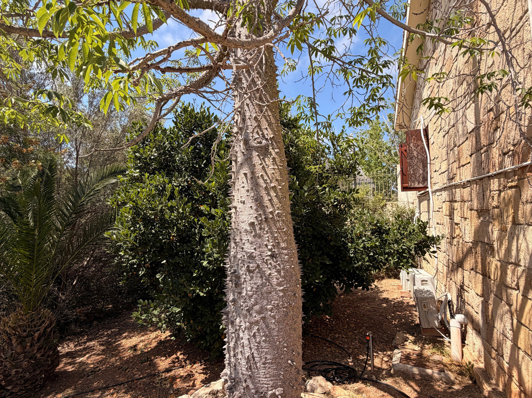Pafos Zoo-帕福斯必去景点
