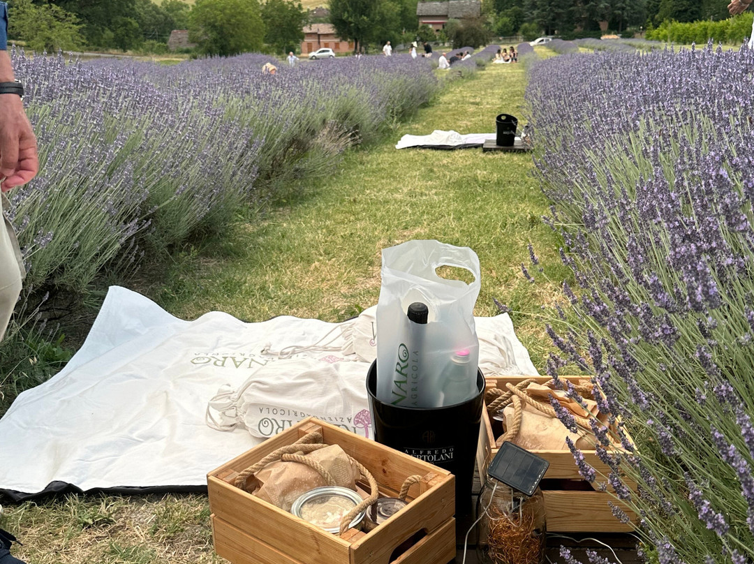 Azienda Agricola Valtresinaro-Viano必去景点
