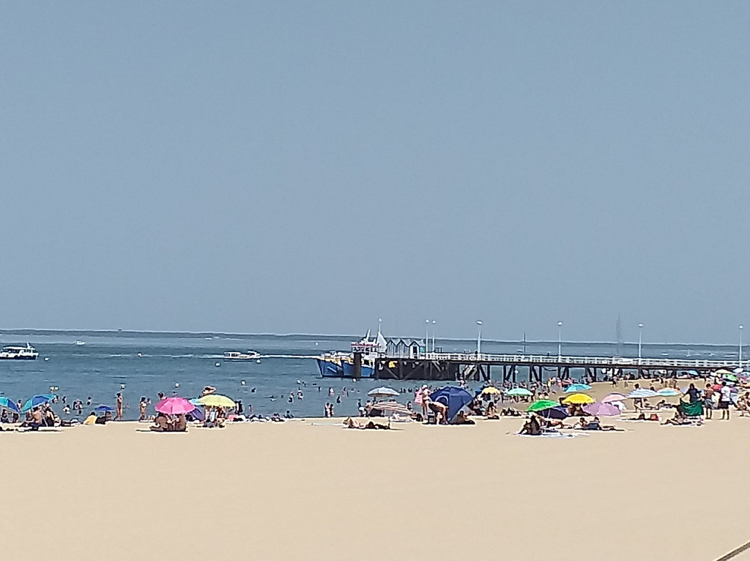 Office de Tourisme d'Arcachon-阿卡雄必去景点