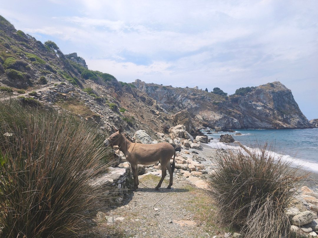 Kastro Beach-斯亚索斯必去景点