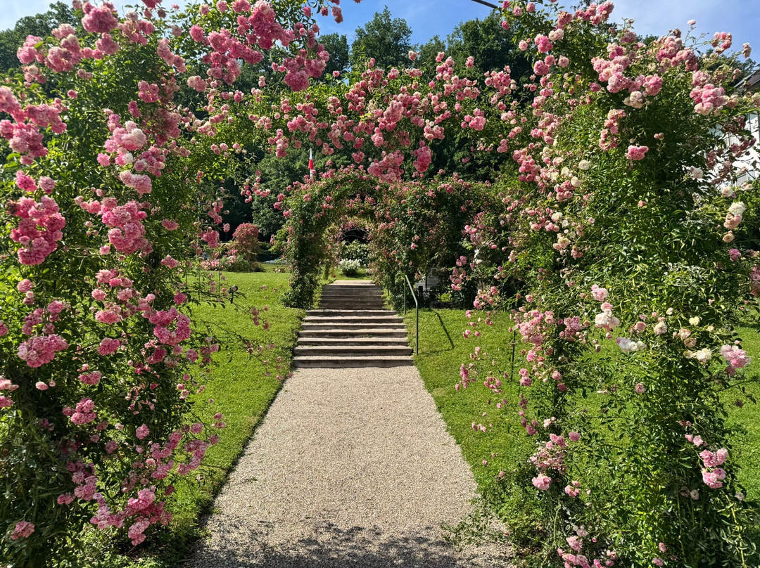 Garten der Rosenneuheiten-巴登巴登必去景点