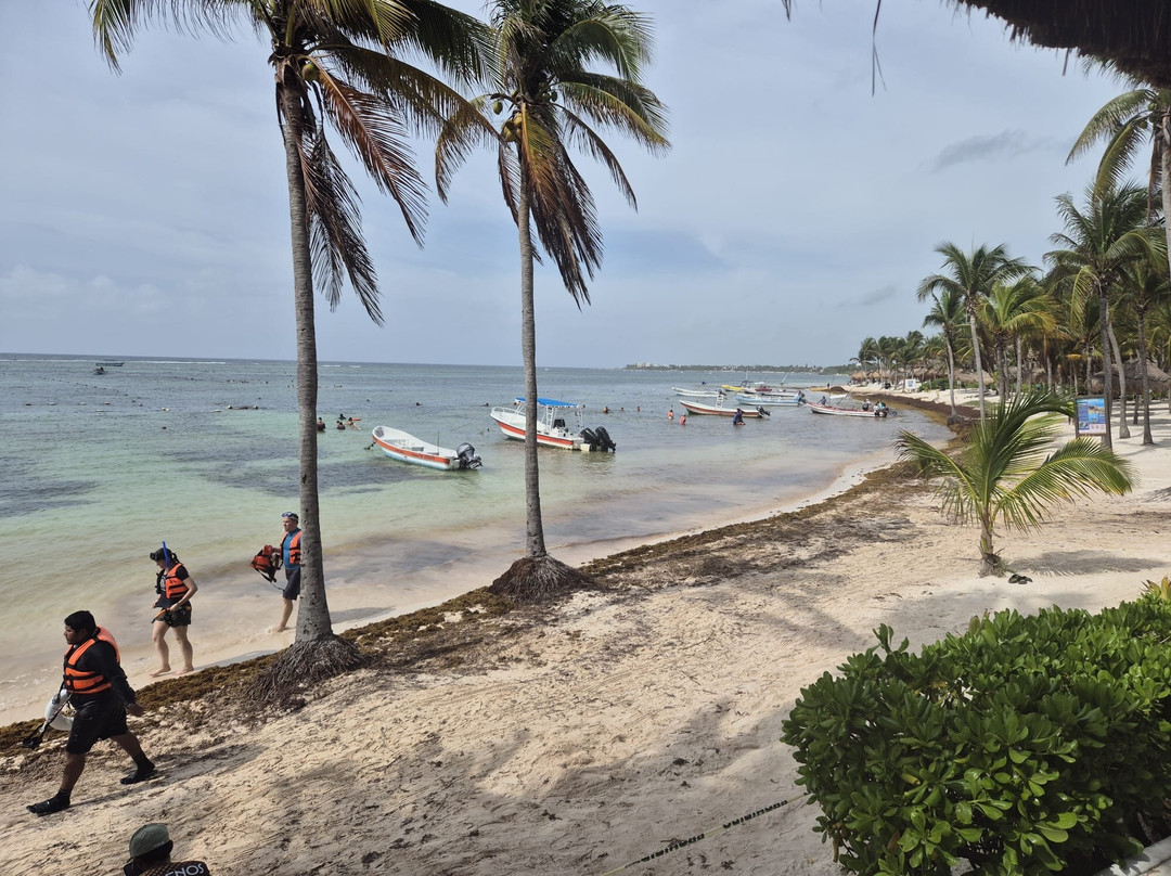 Akumal Beach-艾库玛尔必去景点