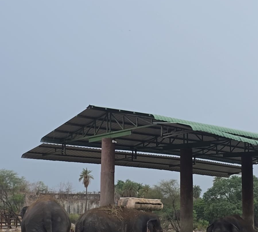Nehru Zoological Park-海德拉巴必去景点