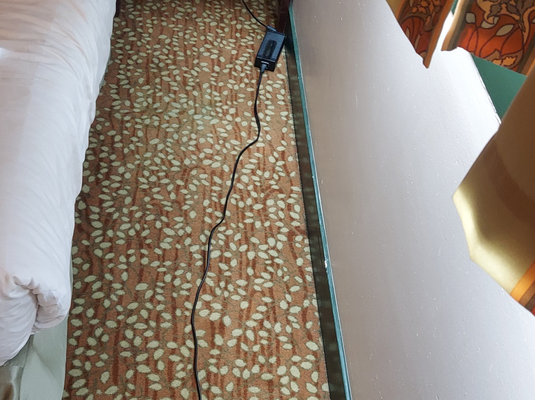 迪士尼红杉小屋®主图