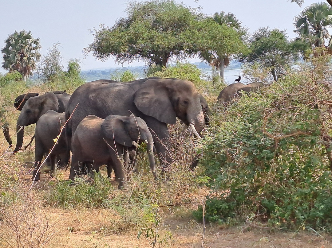 Kisoro Tours Uganda-坎帕拉必去景点