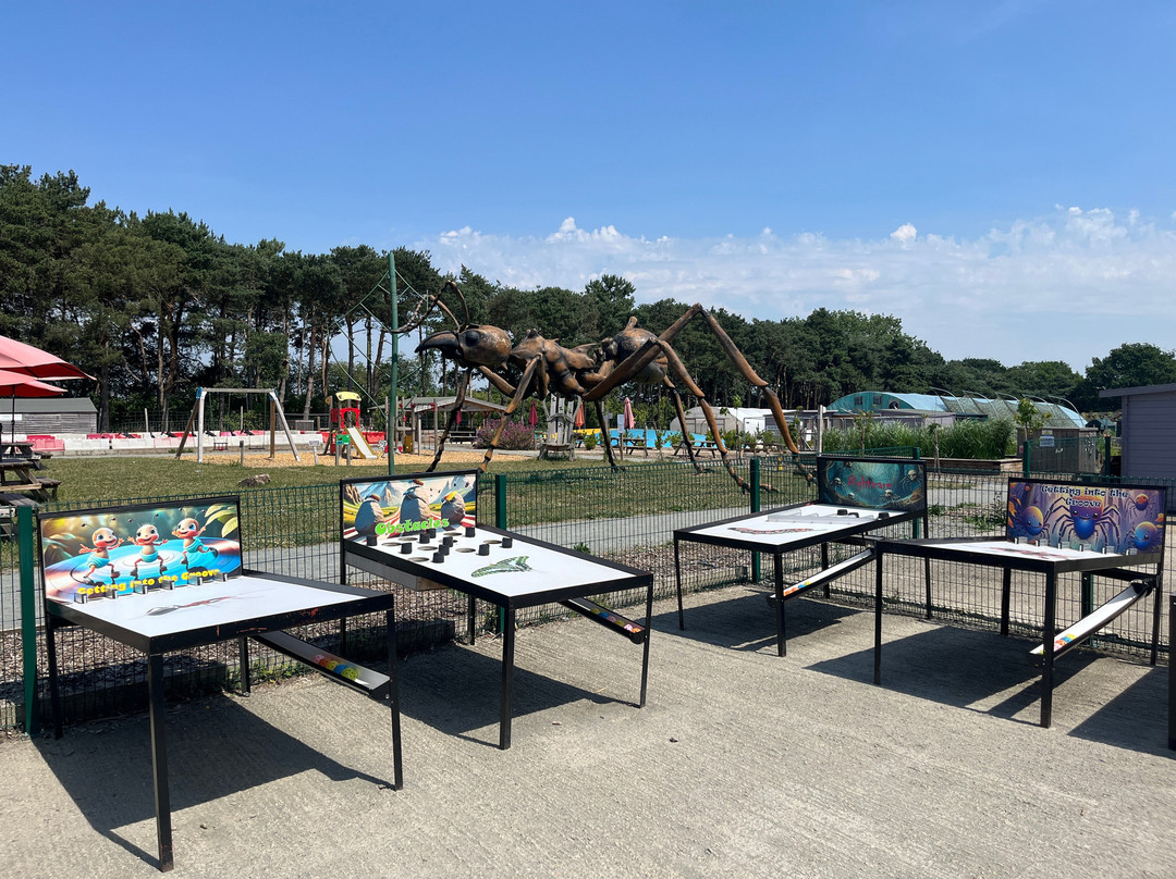 The Bug Parc-Lenwade必去景点
