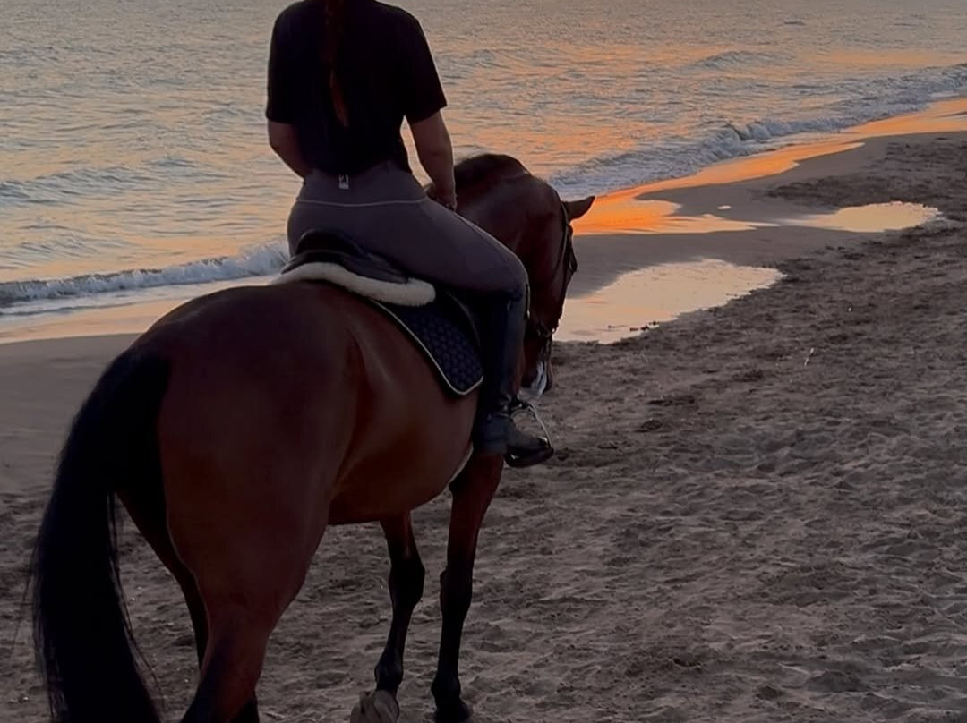 Michamvi Beach-米查维必去景点