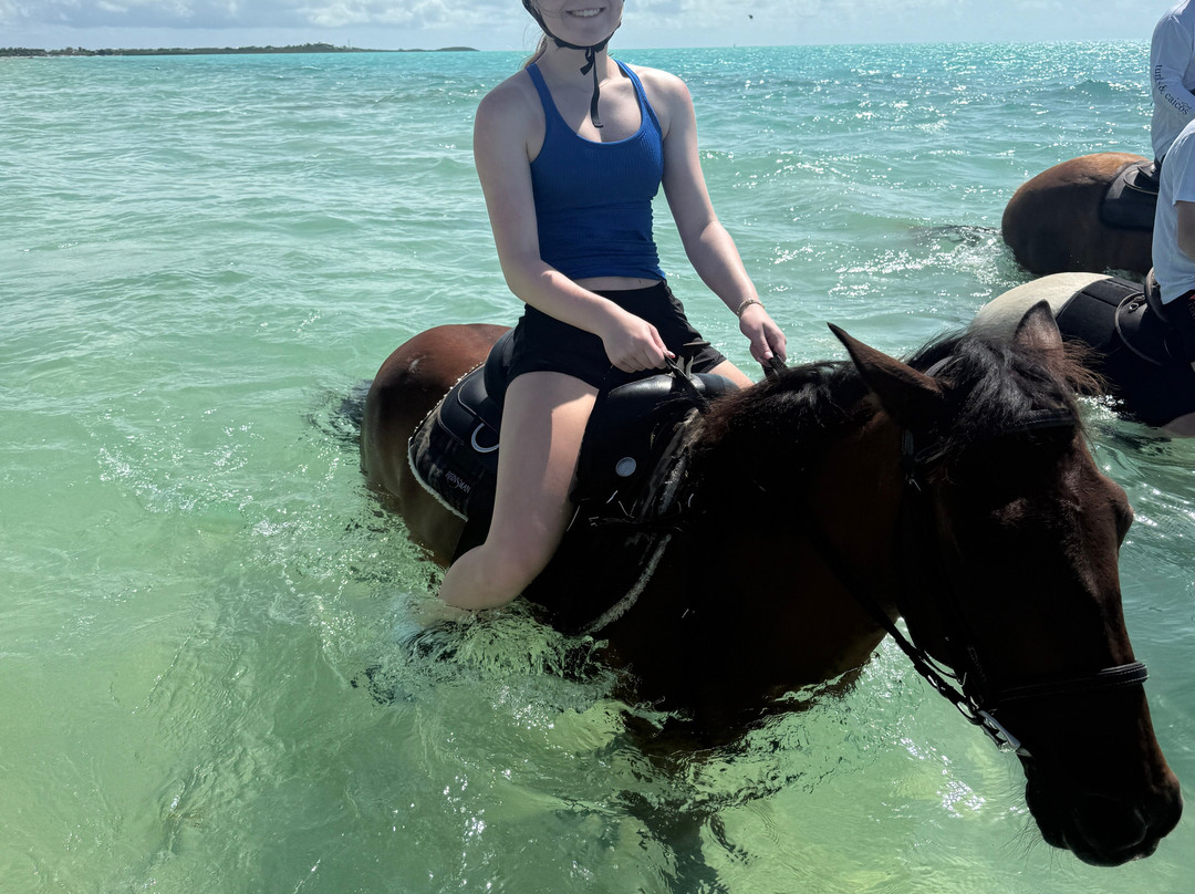 Provo Ponies-Long Bay Hills必去景点