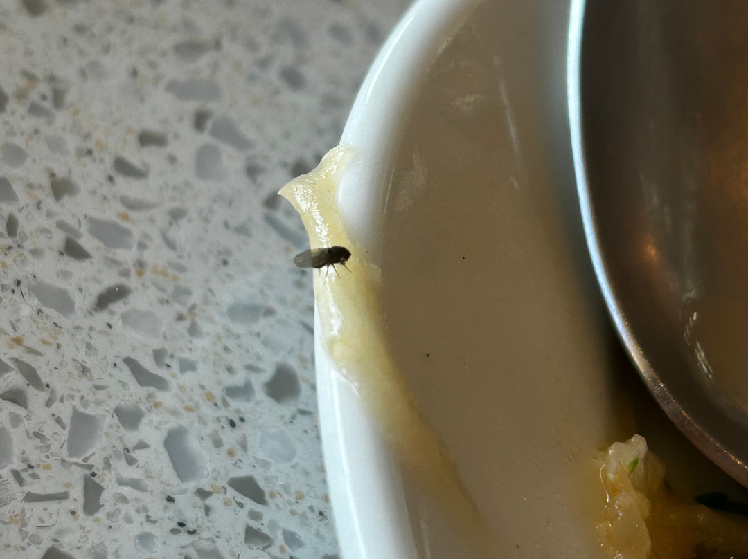阿克奎雅康康丽笙蓝光水疗酒店主图
