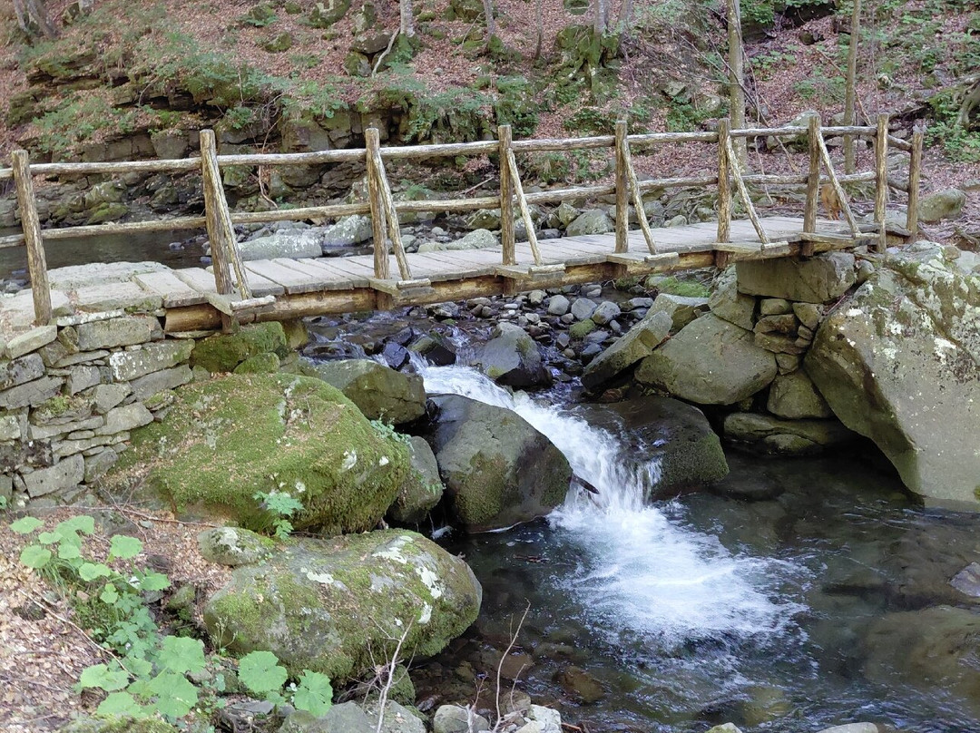 Cascate del Dardagna-Lizzano in Belvedere必去景点
