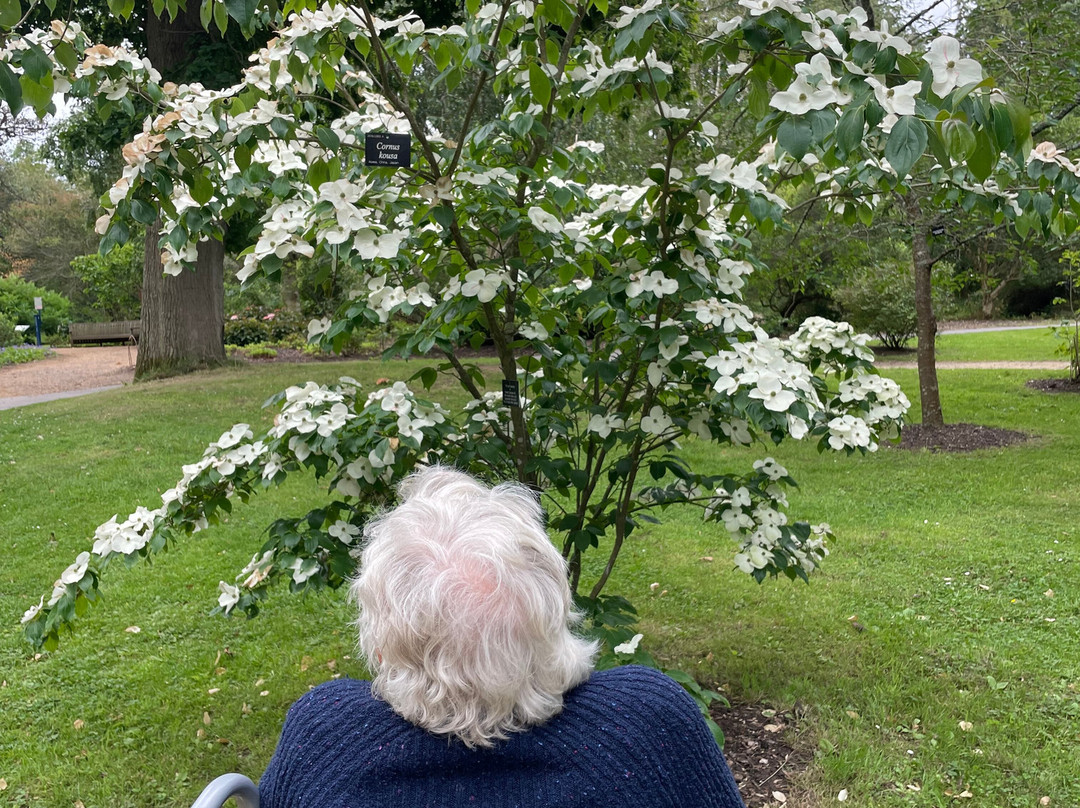 Sir Harold Hillier Gardens-罗姆西必去景点