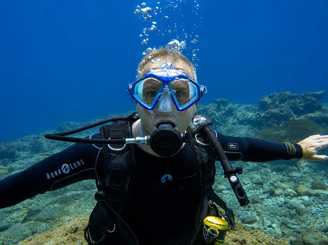 Marine Divers-帕福斯必去景点