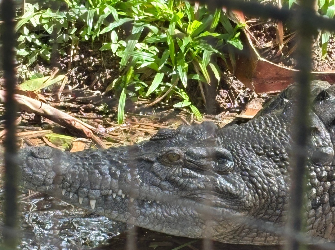 Cooberrie Park Wildlife Sanctuary-Yeppoon必去景点
