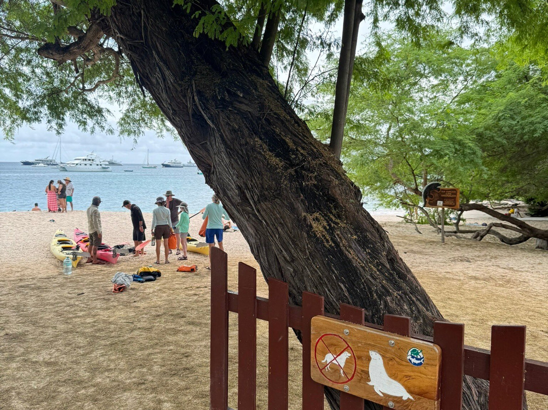 Playa Mann-圣克里斯托瓦尔必去景点