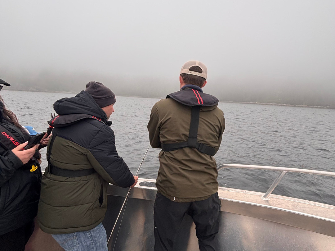 Wild Gros Morne-Trout River必去景点