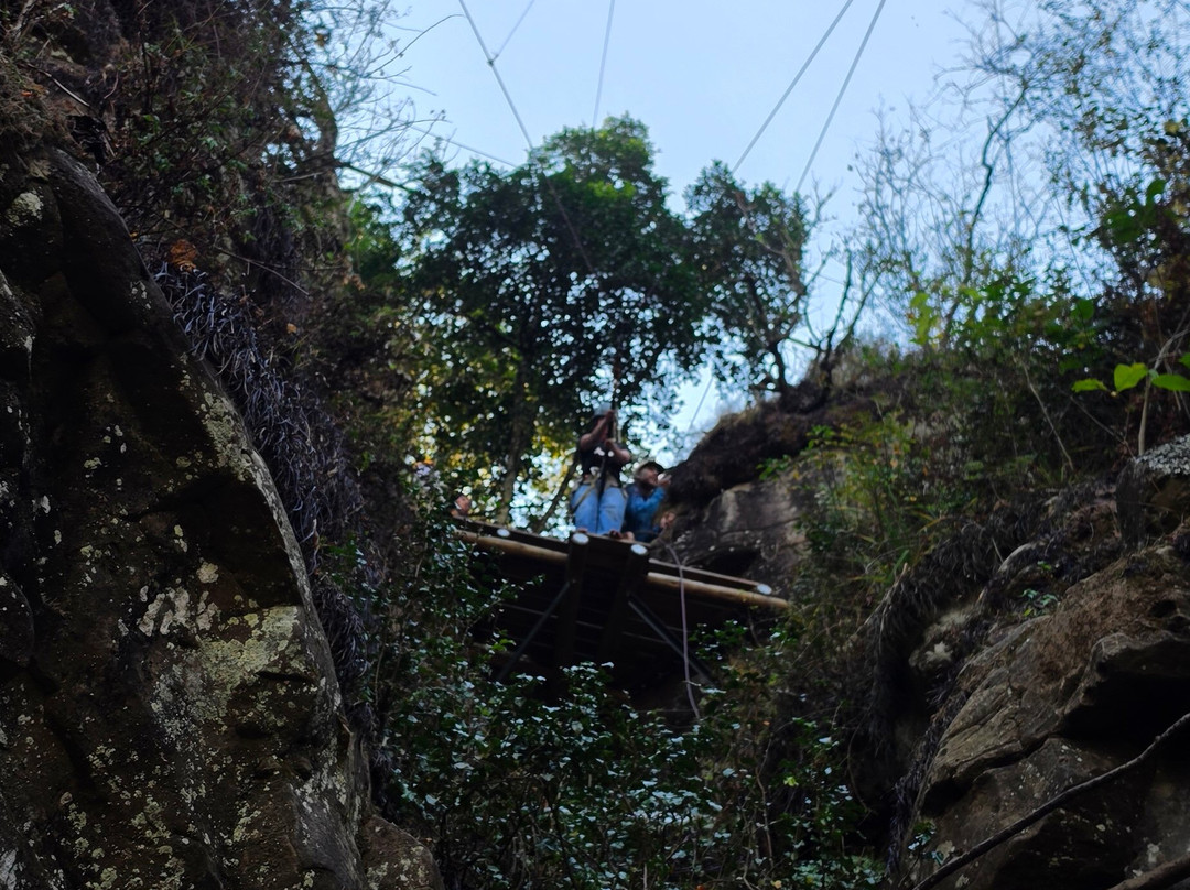 Vertical Rush-Cathkin Park必去景点