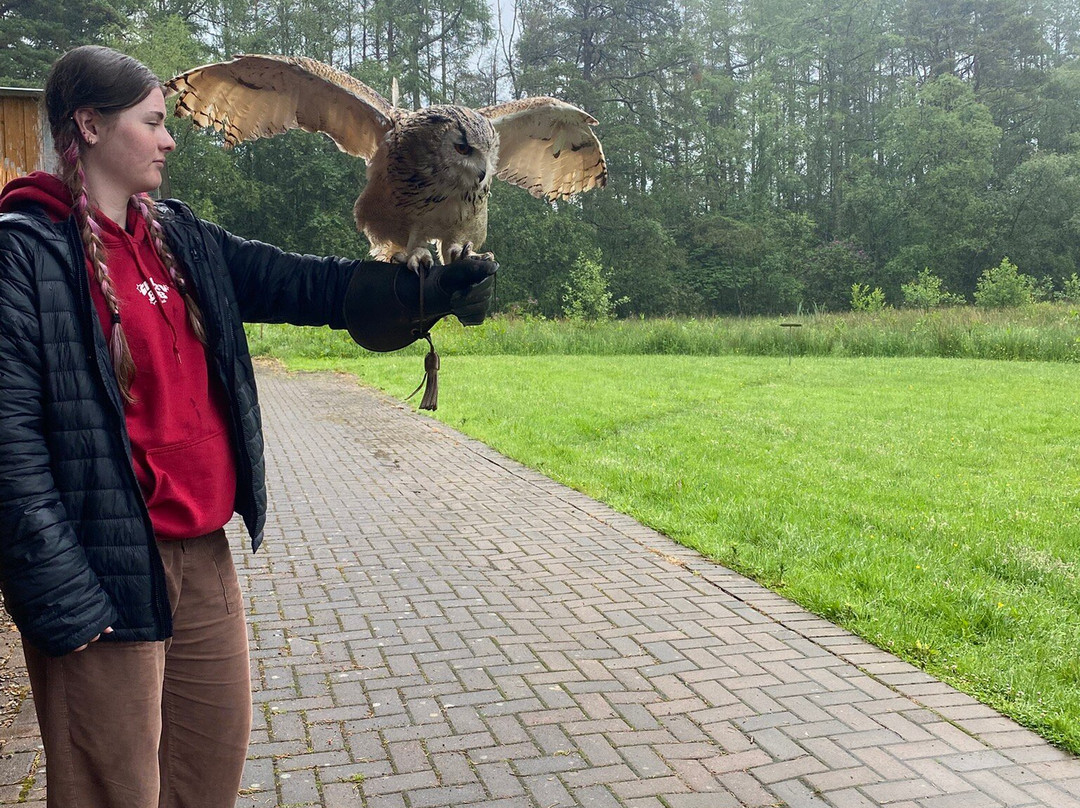 Strathblane Falconry-Strathblane必去景点