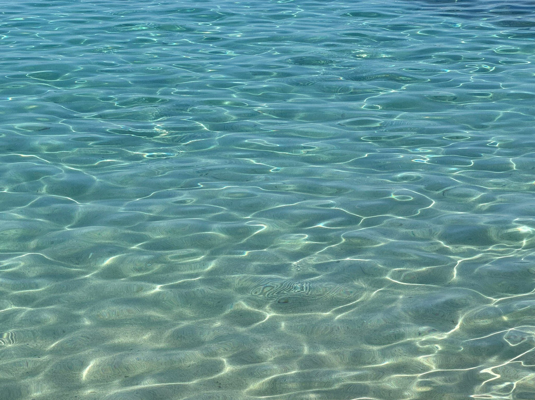 Spiaggia Di Riaci-Santa Domenica必去景点